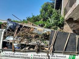 Best Garage Cleanout  in Cecilia, LA